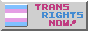 TRANS RIGHTS NOW! 88x31